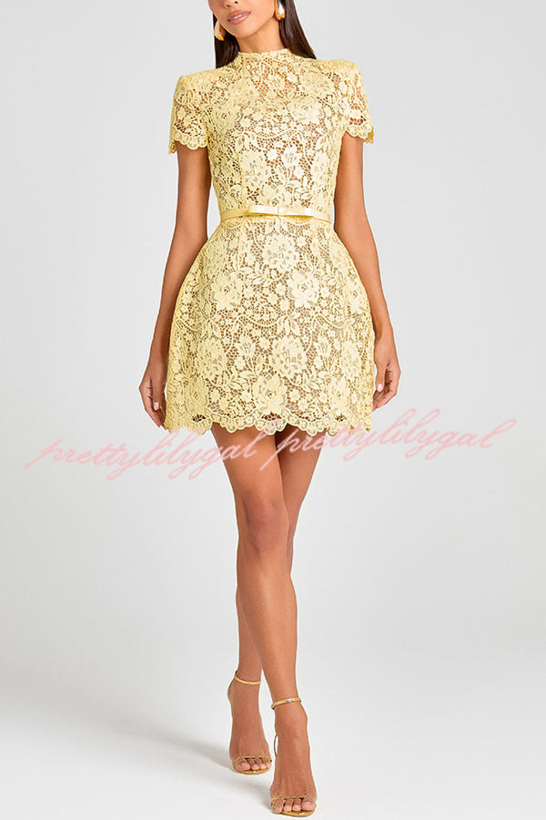 Champagne Toast Flower Lace Short Sleeve Bow Belted Mini Dress   prettylilygal