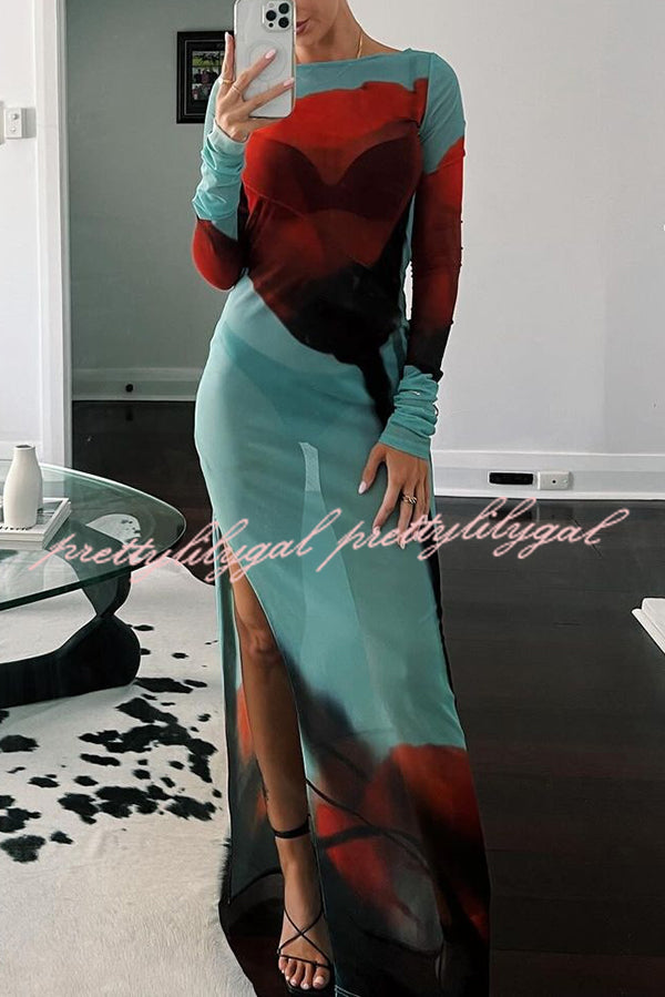 Mesh Floral Print Round Neck Long Sleeve Stretch Maxi Dress