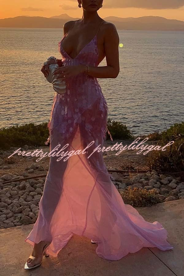 Perfect Night Sequin Embroidery Backless Drape Tulle Hem Slip Maxi Dr – prettylilygal