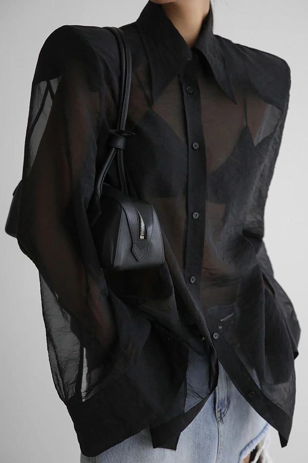 Retro Sheer Loose Long-sleeved Casual Shirt