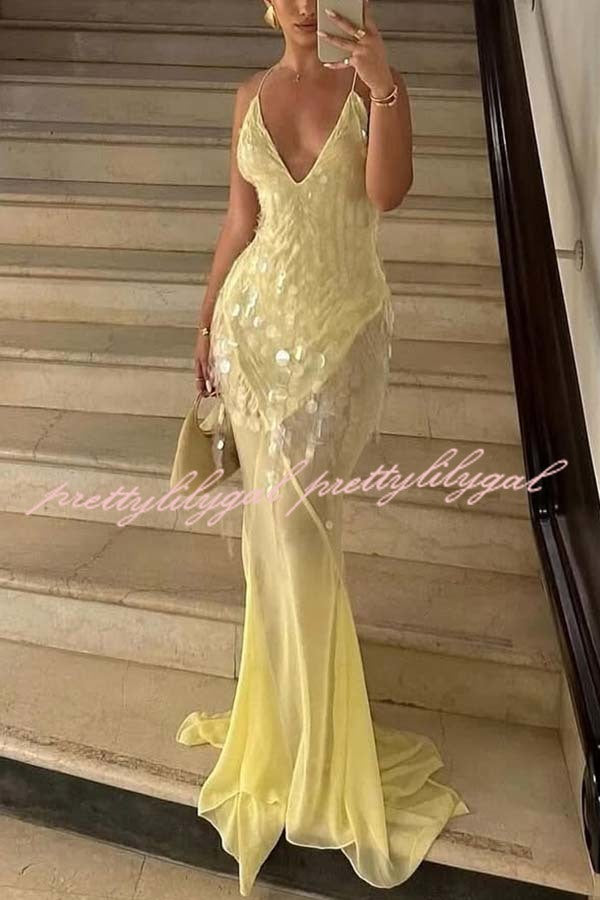 Perfect Night Sequin Embroidery Backless Drape Tulle Hem Slip Maxi Dress