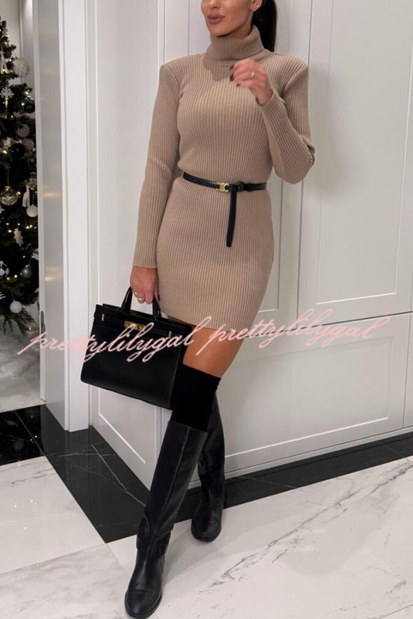 Chilly Morning Ribbed Knit Turtleneck Long Sleeve Mini Dress