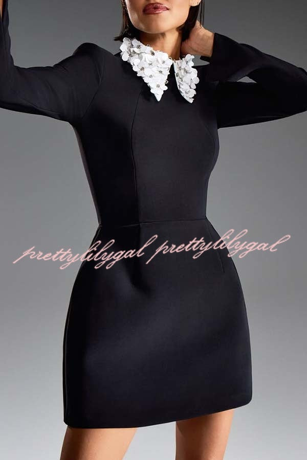 Alisha Contrast Floral Appliqué Pointed Collar Long Sleeve Pocketed Mini Dress