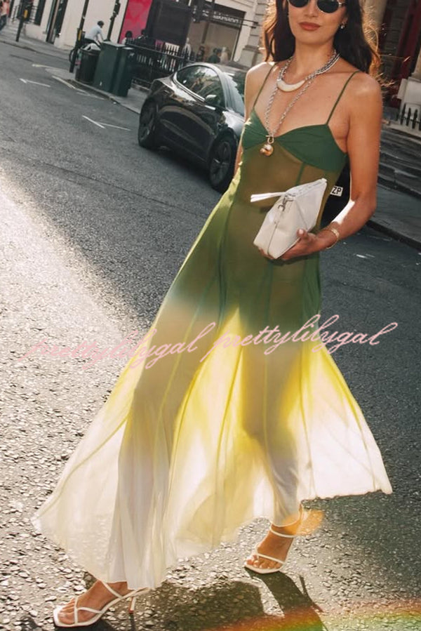 Spicy Margarita See-through Tulle Ombre Print Slip Maxi Dress