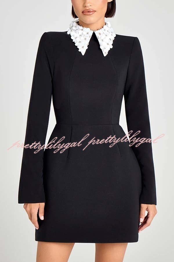 Alisha Contrast Floral Appliqué Pointed Collar Long Sleeve Pocketed Mini Dress