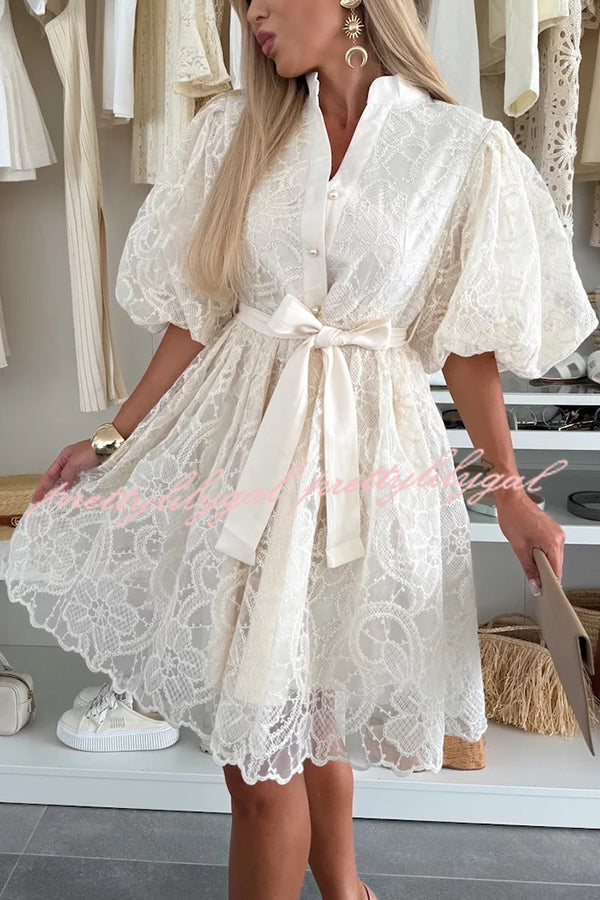 Summer Romance Embroidery Lace Puff Sleeve Button Tie-up Mini Dress