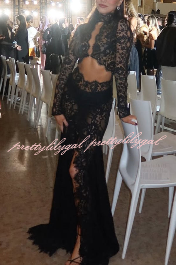 Dark Night Charm Sheer Lace Cutout Long Sleeve Stretch Maxi Dress