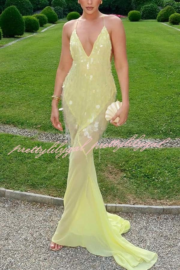 Perfect Night Sequin Embroidery Backless Drape Tulle Hem Slip Maxi Dress