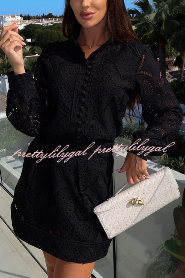 Unique Crochet Lace Long Sleeve Button Blouse and High Rise Skirt Set