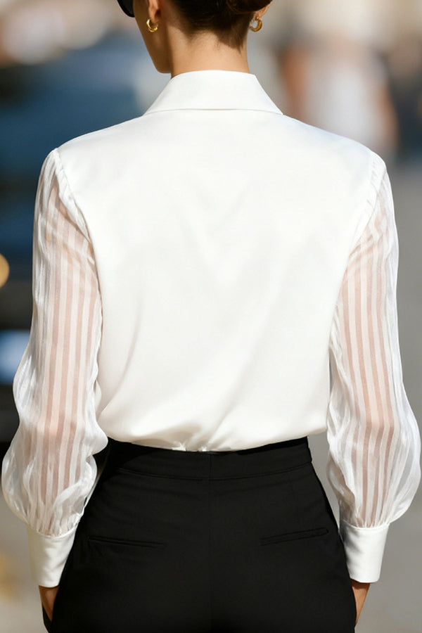 Solid Color Satin Loose-fitting See-through Long-sleeved Casual Shirt