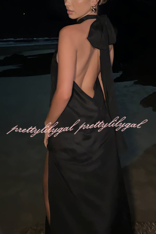 Floral Embellished Satin Halterneck Backless Resort Maxi Dress