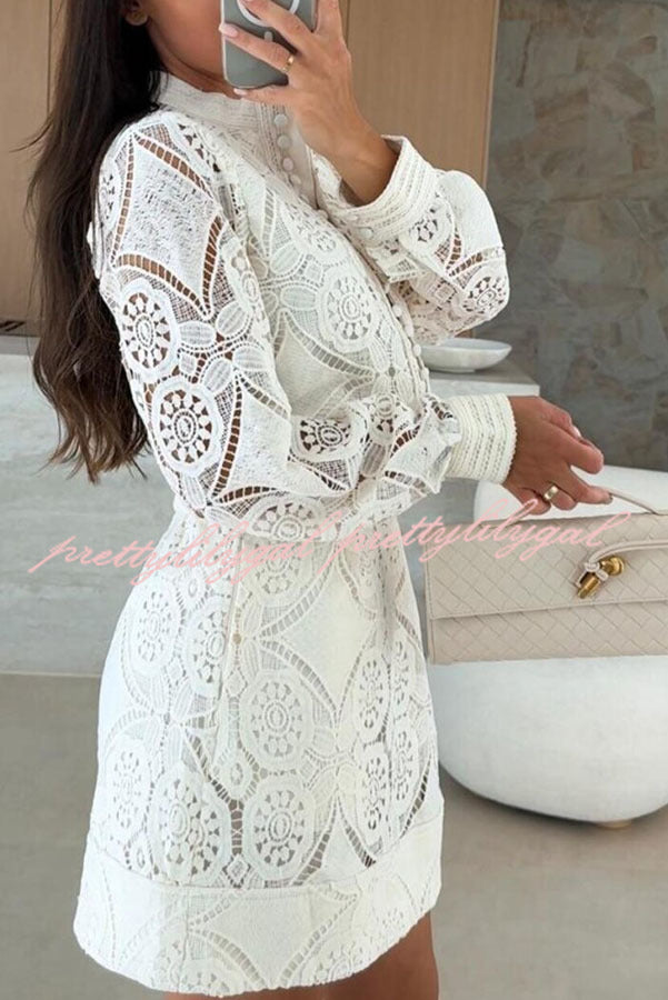 Unique Crochet Lace Long Sleeve Button Blouse and High Rise Skirt Set