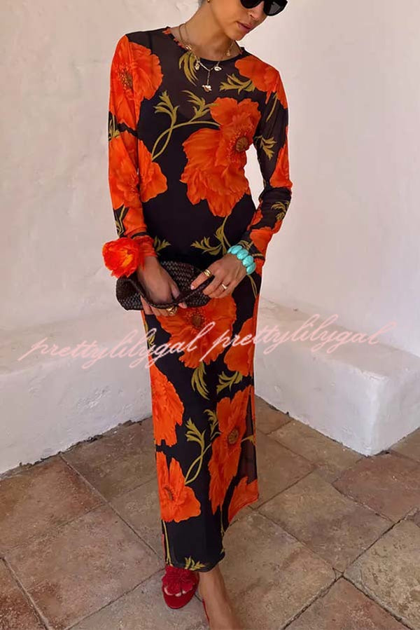 Perfect Cross-season Mesh Poppy Flower Print Long Sleeve Stretch Maxi Dress