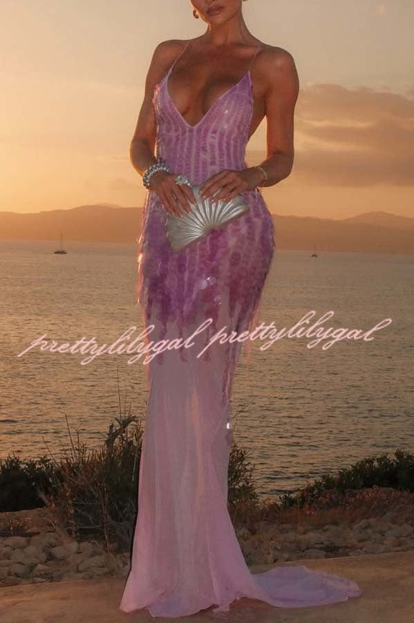 Perfect Night Sequin Embroidery Backless Drape Tulle Hem Slip Maxi Dress