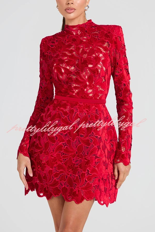 Lydia Embroidered Floral Lace Long Sleeve Belt Tulip Shaped Mini Dress