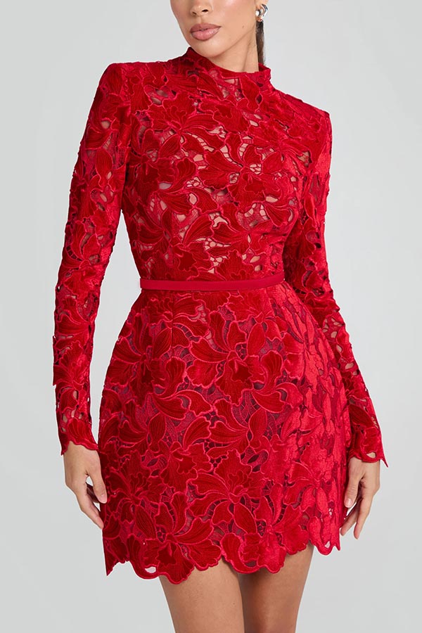 Lydia Embroidered Floral Lace Long Sleeve Belt Tulip Shaped Mini Dress –  prettylilygal