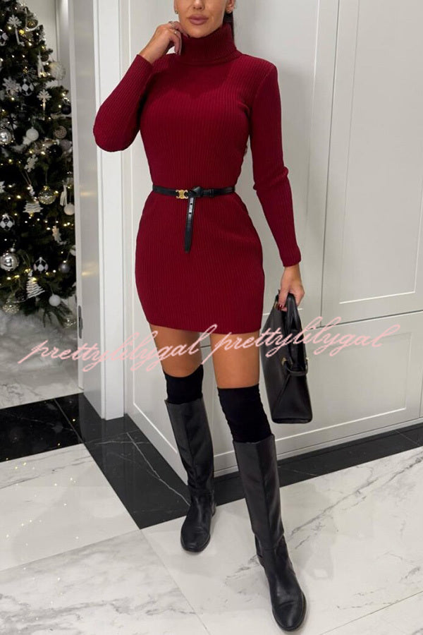 Chilly Morning Ribbed Knit Turtleneck Long Sleeve Mini Dress