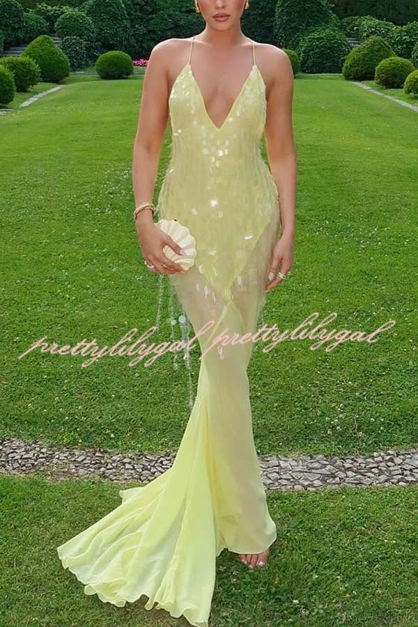 Perfect Night Sequin Embroidery Backless Drape Tulle Hem Slip Maxi Dress
