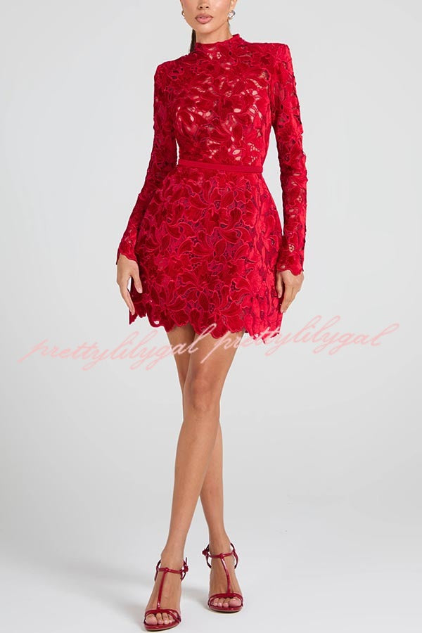 lydia mini dress Lydia Embroidered Floral Lace Long Sleeve Belt Tulip Shaped Mini Dress –  prettylilygal