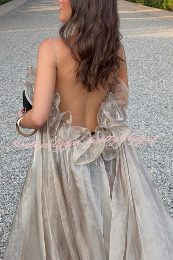 By The Sea Organza Ruffle High Low Hem Slip A-line Maxi Dress