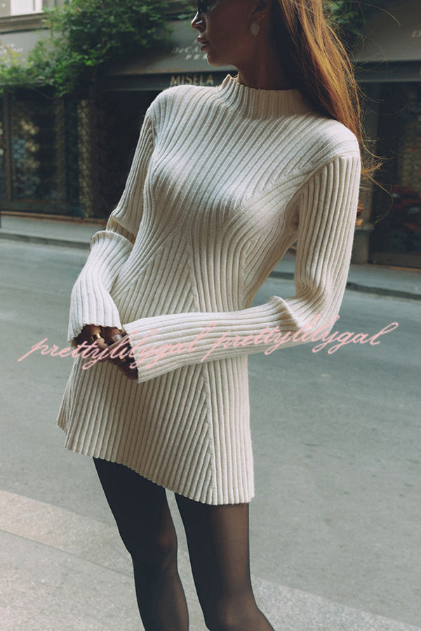 Beautiful Basic Ribbed Knit Long Slit Sleeve Flare Stretch Dress